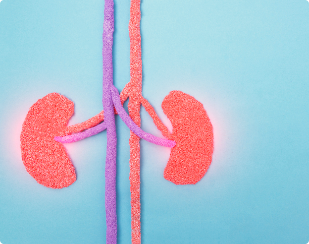 Recomendaciones de la SEN para el manejo del CKD-MBD