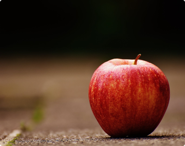 Recomendaciones GARIN sobre nutrición en ERC