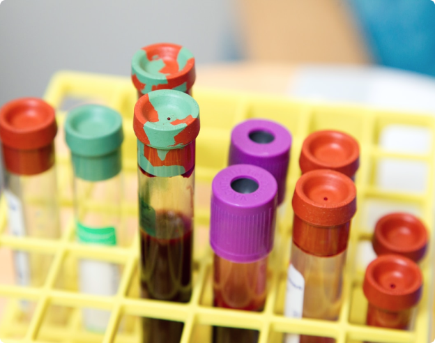 Condiciones Generales para el envío de muestras 