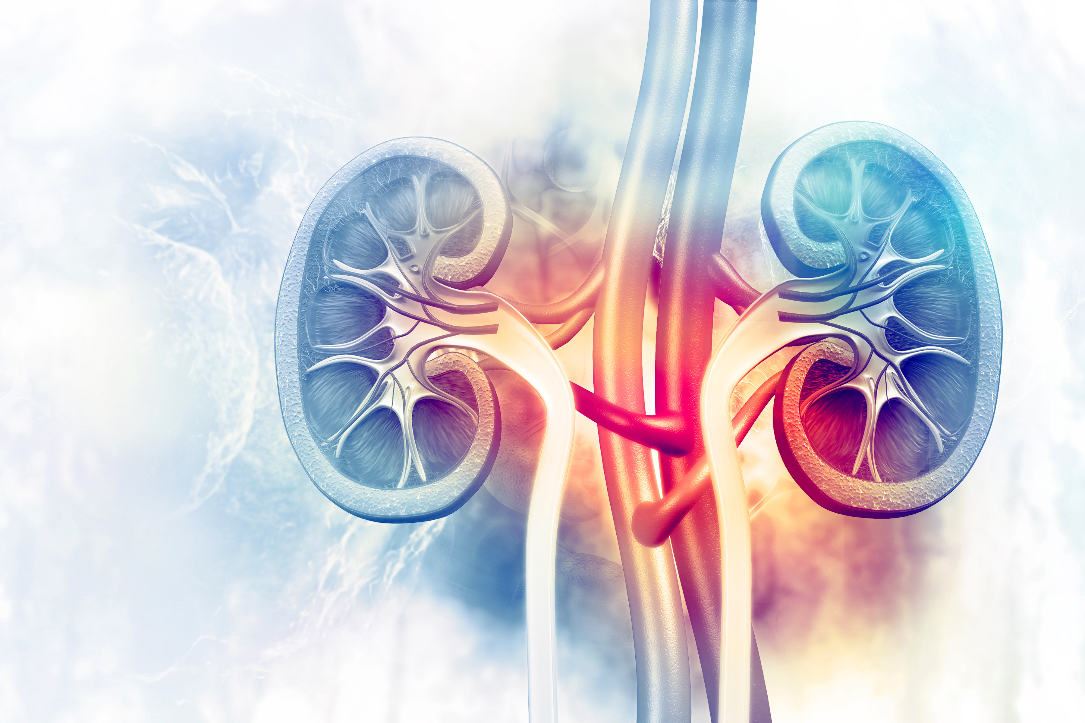Proyecto Kidney-Bone