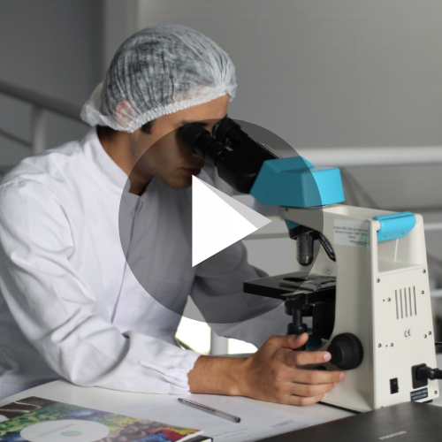 Uso clínico de la RMN en el estudio del metabolismo lipoproteico 
