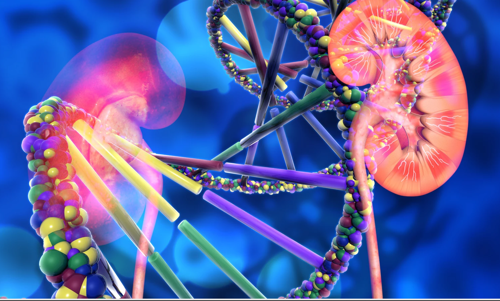Genes ERC